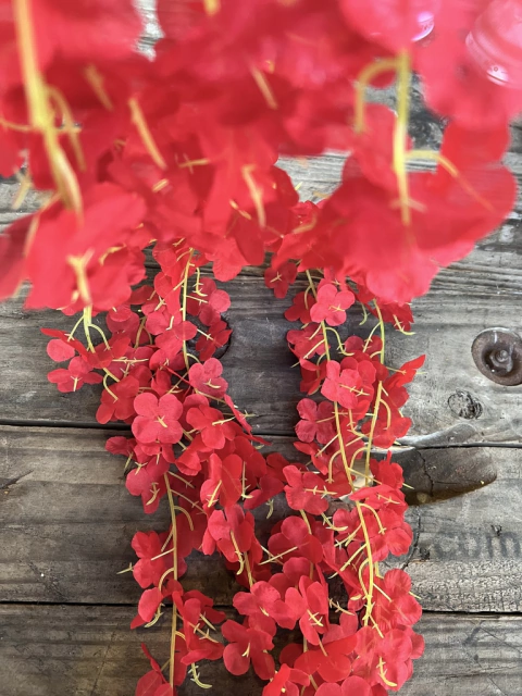 GUIA SANTA RITA x 5 unidades 2MTS PA04B