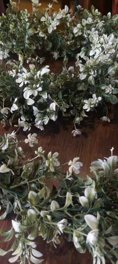 GUIA JAZMIN DEL AIRE PA103 en internet