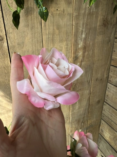 RAMO X 10 ROSAS - PITTA IMPORTACIONES