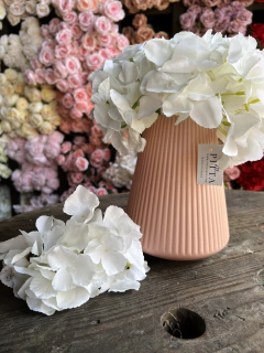 HORTENSIA PA05 en internet