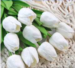 TULIPAN 33cm x 5u