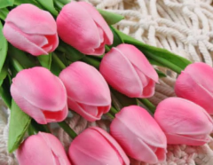 TULIPAN 33cm x 5u - PITTA IMPORTACIONES