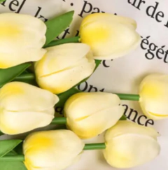 Imagen de TULIPAN 33cm x 5u