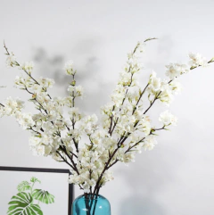 RAMA DE CEREZO en internet