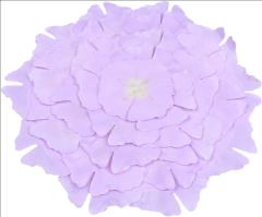 POSA PLATO FLOR x 6u - PITTA IMPORTACIONES