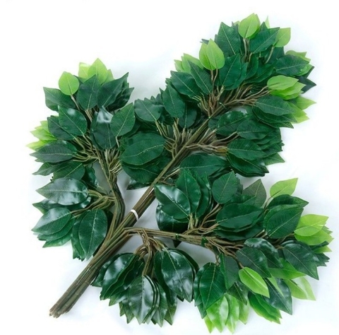 RAMA DE HOJAS JADE x 10u PA105 - comprar online