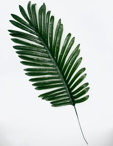 PALMERA CON TALLO x 10u PA108 - comprar online