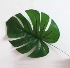 AMAZONICA CON TALLO GRANDE x 10u PA107