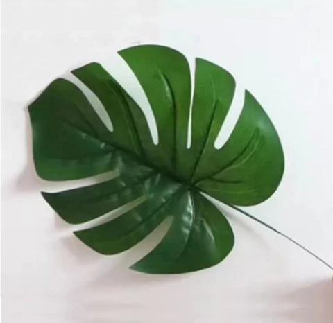 AMAZONICA CON TALLO GRANDE x 10u PA107