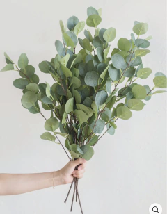 RAMA DE EUCALIPTO REDONDO x 5u PA245 en internet