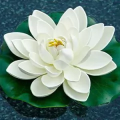 FLOR FLOTANTE NATURAL LILY DE 10cm PA226 en internet