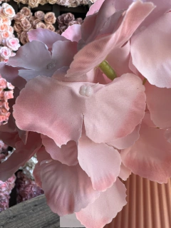 HORTENSIA PA05 - PITTA IMPORTACIONES