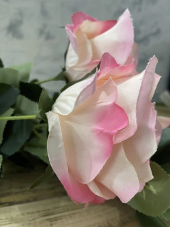 Imagen de RAMO X 10 ROSAS