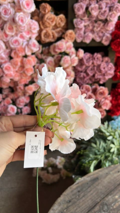 HORTENSIA PA05 - comprar online