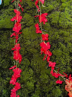 GUIA SANTA RITA x 5 unidades 2MTS PA04B - PITTA IMPORTACIONES