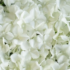 PANEL DE FLORES 60 x 40cm - PITTA IMPORTACIONES