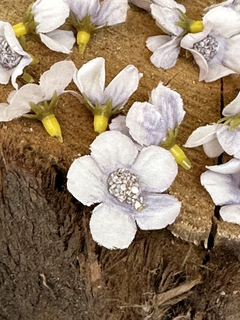 FLORES MADAGASCAR x20u en internet