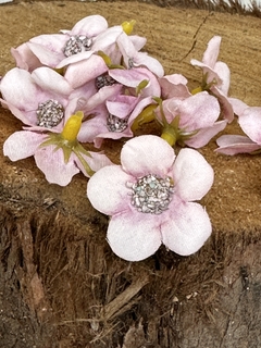 Imagen de FLORES MADAGASCAR x20u