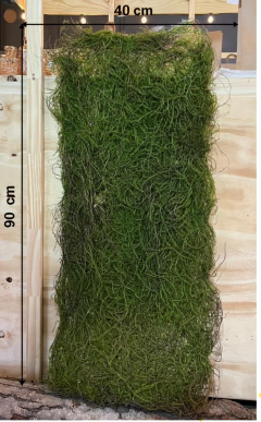 PANEL MUSGO PREMIUM PA246 - comprar online