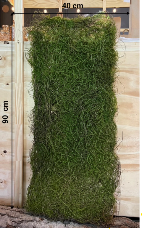 PANEL MUSGO PREMIUM PA246 - comprar online