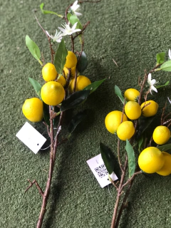 RAMA DE LIMON 80cm PA236 - PITTA IMPORTACIONES