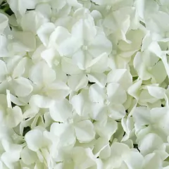 PANEL DE FLORES 60 x 40cm - comprar online