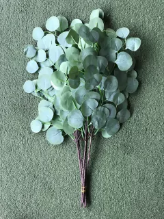 RAMA DE EUCALIPTO REDONDO x 5u PA245 - PITTA IMPORTACIONES