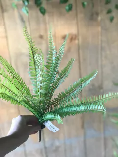 HELECHO DE BOSTON 39cm PA104 en internet