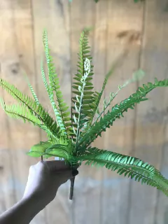 HELECHO DE BOSTON 39cm PA104 - comprar online