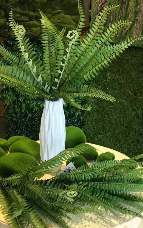 HELECHO DE BOSTON 39cm PA104