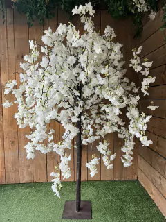 ARBOL DE CEREZO en internet