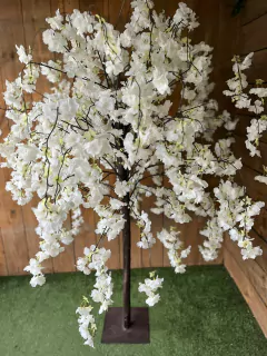 ARBOL DE CEREZO - comprar online