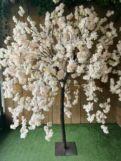 ARBOL DE CEREZO en internet
