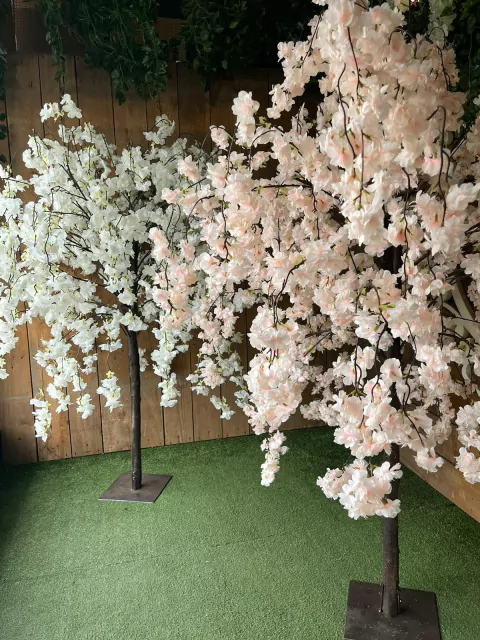 ARBOL DE CEREZO