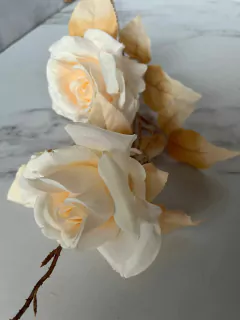 VARA DE DOS ROSAS en internet