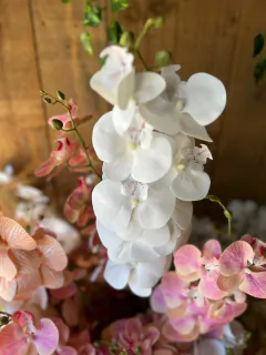 VARA DE ORQUíDEAS - PITTA IMPORTACIONES