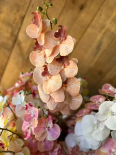 VARA DE ORQUíDEAS - tienda online