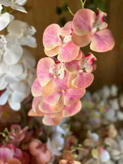 VARA DE ORQUíDEAS en internet