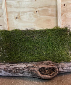 PANEL MUSGO PREMIUM PA246 en internet