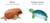 Dinoformas - Didactikids Caballito