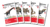 Cartas Educativas Evolucion de los Dinosaurios -