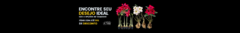 Banner da categoria CAVALOS ROSA DO DESERTO CORES SORTIDAS