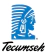 Motocompresor Heladera Tecumseh 1/4+ R134 (576094)