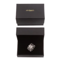 Anel H. Stern Irmãos Campana em prata dentro de caixa preta com logo dourado da H. Stern