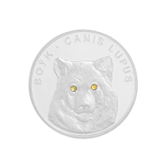 Moeda 20 rublos em prata