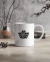 TAZAS