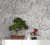 Papel De Parede Botanica 33308 - comprar online