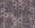 Papel De Parede New Walls 373914