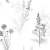 Papel De Parede Abby Rose 3 Ab42443