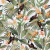 Papel de Parede Flora Tropical Branco com Tucanos e Folhagem 84865 - comprar online